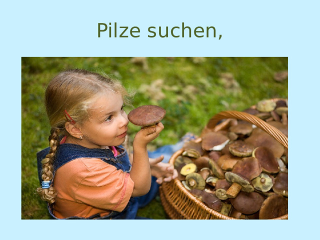 Pilze suchen, 