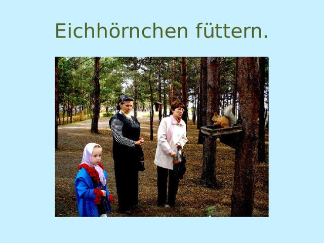 Eichhörnchen füttern. 