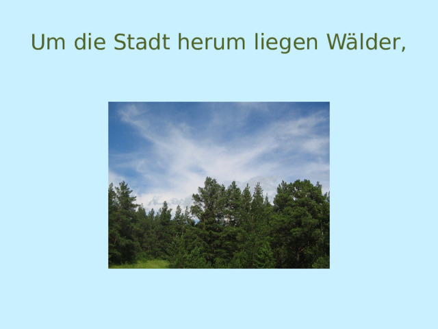 Um die Stadt herum liegen Wälder, 