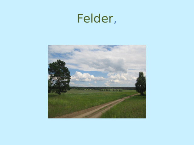 Felder , 