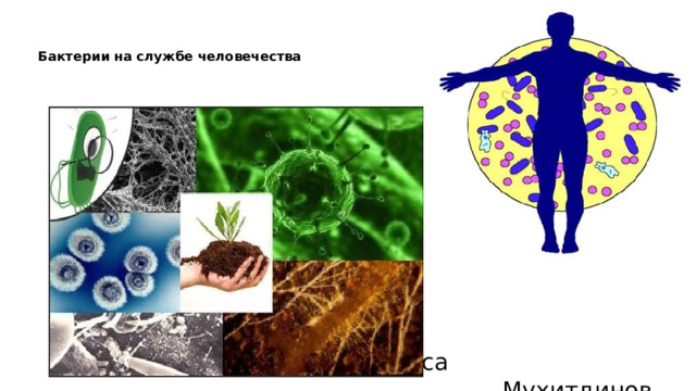 Бактерии на службе человечества  Выполнил:ученик 7»б» класса  Мухитдинов Арстан 