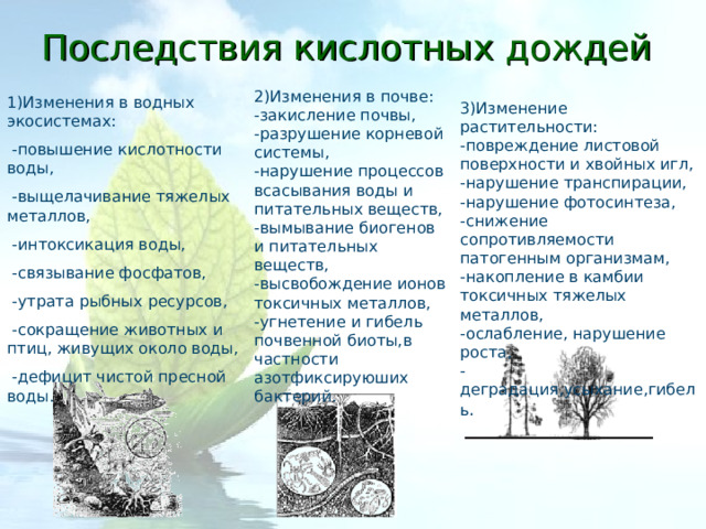 Последствия кислотных дождей 2)Изменения в почве: -закисление почвы, -разрушение корневой системы, -нарушение процессов всасывания воды и питательных веществ, -вымывание биогенов и питательных веществ, -высвобождение ионов токсичных металлов, -угнетение и гибель почвенной биоты,в частности азотфиксируюших бактерий. 1)Изменения в водных экосистемах:  -повышение кислотности воды,  -выщелачивание тяжелых металлов,  -интоксикация воды,  -связывание фосфатов,  -утрата рыбных ресурсов,  -сокращение животных и птиц, живущих около воды,  -дефицит чистой пресной воды. 3)Изменение растительности: -повреждение листовой поверхности и хвойных игл, -нарушение транспирации, -нарушение фотосинтеза, -снижение сопротивляемости патогенным организмам, -накопление в камбии токсичных тяжелых металлов, -ослабление, нарушение роста, -деградация,усыхание,гибель . 