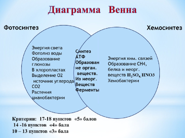 Диаграмма венна на уроках химии