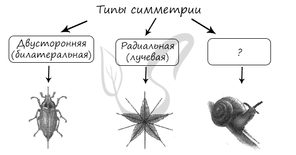 История земли. Эдикарский (Вендский) период. Наука от ëжика Дзен