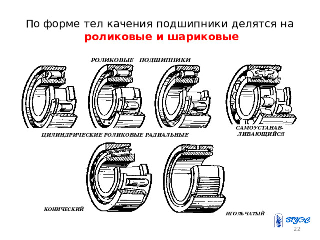 По форме тел качения подшипники делятся на  роликовые и шариковые  РОЛИКОВЫЕ ПОДШИПНИКИ  САМОУСТАНАВ-  ЛИВАЮЩИЙС Я ЦИЛИНДРИЧЕСКИЕ РОЛИКОВЫЕ РАДИАЛЬНЫЕ  КОНИЧЕСКИЙ  ИГОЛЬЧАТЫЙ  20 