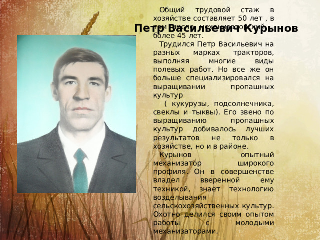 Общий трудовой стаж в хозяйстве составляет 50 лет , в том числе механизаторский – более 45 лет. Трудился Петр Васильевич на разных марках тракторов, выполняя многие виды полевых работ. Но все же он больше специализировался на выращивании пропашных культур  ( кукурузы, подсолнечника, свеклы и тыквы). Его звено по выращиванию пропашных культур добивалось лучших результатов не только в хозяйстве, но и в районе. Курынов опытный механизатор широкого профиля. Он в совершенстве владел вверенной ему техникой, знает технологию возделывания сельскохозяйственных культур. Охотно делился своим опытом работы с молодыми механизаторами. Петр Васильевич Курынов 