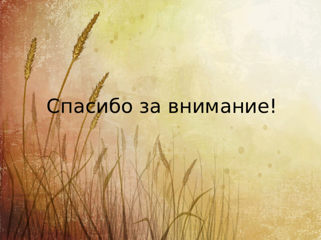 Спасибо за внимание! 