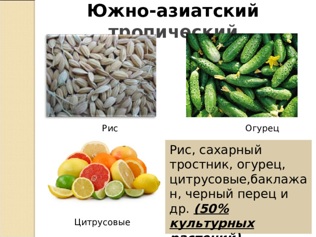 Южно-азиатский тропический Рис Огурец Рис, сахарный тростник, огурец, цитрусовые,баклажан, черный перец и др. (50% культурных растений). Цитрусовые 