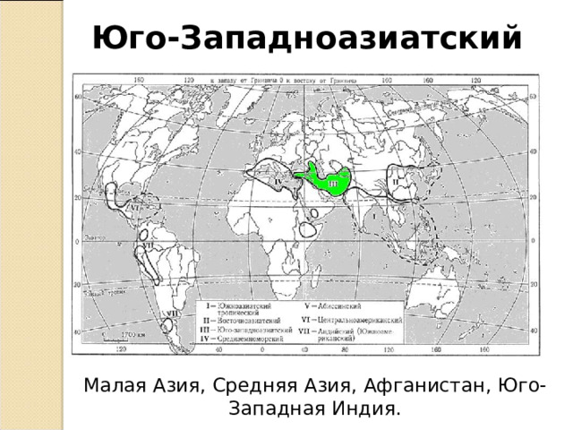 Юго западноазиатский центр происхождения культурных