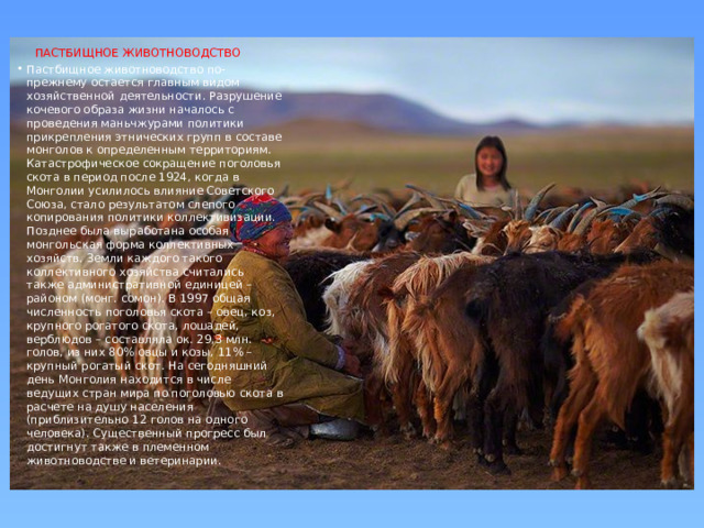  ПАСТБИЩНОЕ ЖИВОТНОВОДСТВО Пастбищное животноводство по-прежнему остается главным видом хозяйственной деятельности. Разрушение кочевого образа жизни началось с проведения маньчжурами политики прикрепления этнических групп в составе монголов к определенным территориям. Катастрофическое сокращение поголовья скота в период после 1924, когда в Монголии усилилось влияние Советского Союза, стало результатом слепого копирования политики коллективизации. Позднее была выработана особая монгольская форма коллективных хозяйств. Земли каждого такого коллективного хозяйства считались также административной единицей – районом (монг. сомон). В 1997 общая численность поголовья скота – овец, коз, крупного рогатого скота, лошадей, верблюдов – составляла ок. 29,3 млн. голов, из них 80% овцы и козы, 11% – крупный рогатый скот. На сегодняшний день Монголия находится в числе ведущих стран мира по поголовью скота в расчете на душу населения (приблизительно 12 голов на одного человека). Существенный прогресс был достигнут также в племенном животноводстве и ветеринарии. 