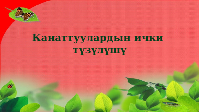 Канаттуулардын ички түзүлүшү 