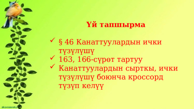 Үй тапшырма § 46 Канаттуулардын ички түзүлүшү 163, 166-сүрөт тартуу Канаттуулардын сырткы, ички түзүлүшү боюнча кроссорд түзүп келүү 