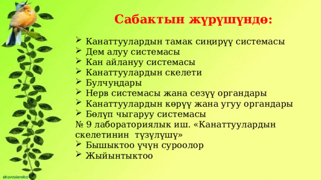 Сабактын жүрүшүндө:  Канаттуулардын тамак сиңирүү системасы  Дем алуу системасы  Кан айлануу системасы  Канаттуулардын скелети  Булчуңдары  Нерв системасы жана сезүү органдары  Канаттуулардын көрүү жана угуу органдары  Бөлүп чыгаруу системасы № 9 лабораториялык иш. «Канаттуулардын скелетинин түзүлүшү»  Бышыктоо үчүн суроолор  Жыйынтыктоо 