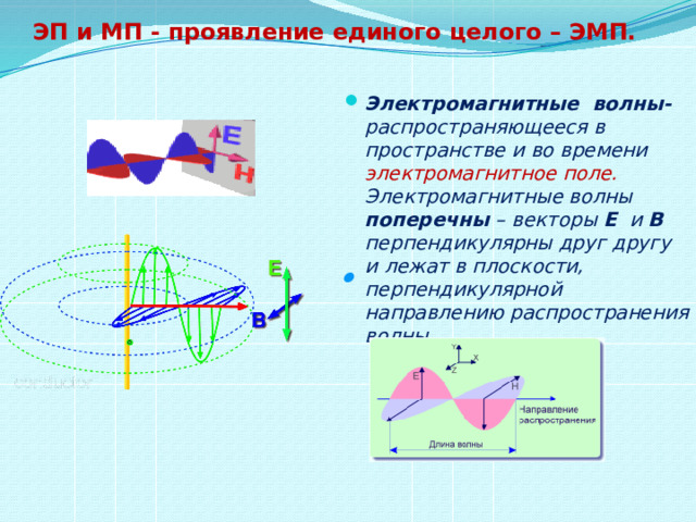 ЭП и МП - проявление единого целого – ЭМП. Электромагнитные волны- распространяющееся в пространстве и во времени электромагнитное поле. Электромагнитные волны поперечны – векторы Е и В перпендикулярны друг другу и лежат в плоскости, перпендикулярной направлению распространения волны .  