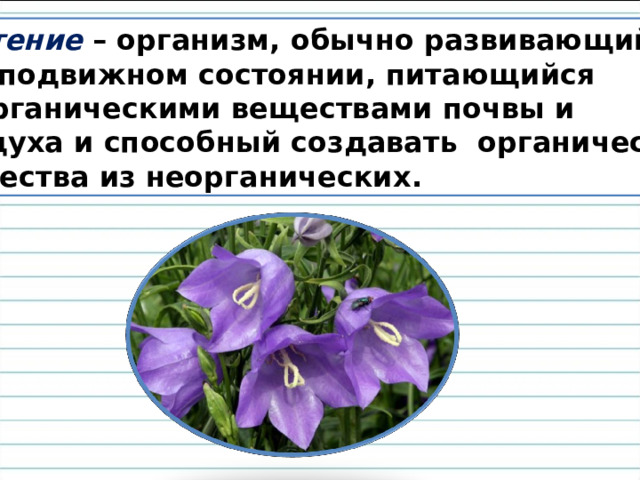 Роль прилагательных в тексте 3 класс школа россии презентация