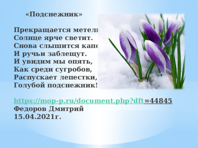  «Подснежник»     Прекращается метель,  Солнце ярче светит.  Снова слышится капель,  И ручьи заблещут.  И увидим мы опять,  Как среди сугробов,  Распускает лепестки,  Голубой подснежник!     https :// mop - p . ru / document . php ? dft =44845  Федоров Дмитрий  15.04.2021г.   