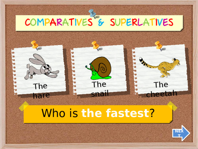 The hare The snail The cheetah Who is the fastest ? NEXT 5 