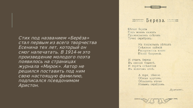 Стих под названием «Берёза» стал первым из всего творчества Есенина тех лет, который он смог напечатать. В 1914-м это произведение молодого поэта появилось на страницах журнала «Мирок». Автор не решился поставить под ним свою настоящую фамилию, подписался псевдонимом Аристон. 