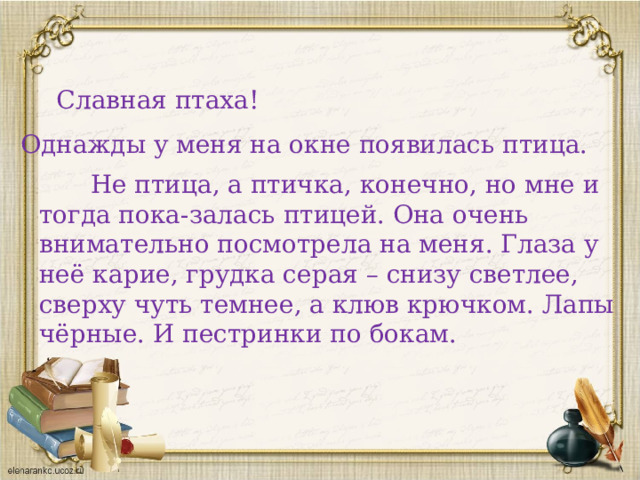 Славная птаха! Однажды у меня на окне появилась птица.  Не птица, а птичка, конечно, но мне и тогда пока-залась птицей. Она очень внимательно посмотрела на меня. Глаза у неё карие, грудка серая – снизу светлее, сверху чуть темнее, а клюв крючком. Лапы чёрные. И пестринки по бокам. 