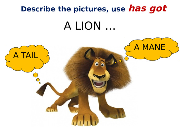 Describe the pictures, use has got A LION … A MANE A TAIL 