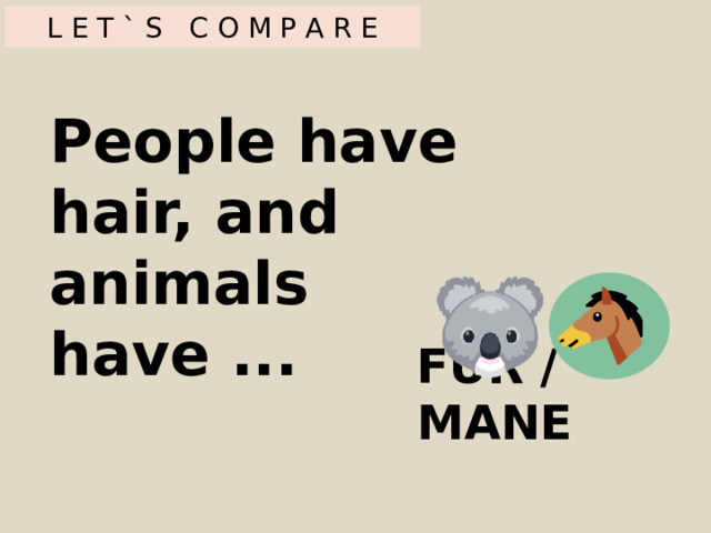 L E T ` S C O M P A R E People have hair, and animals have ... FUR / MANE 