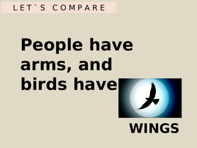 L E T ` S C O M P A R E People have arms, and birds have ... WINGS 