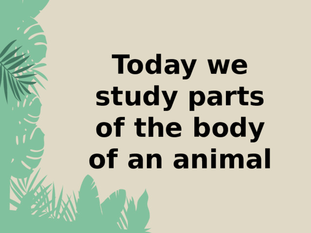 Today we study parts of the body of an animal 