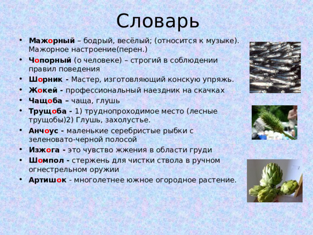 Словарь Маж о рный – бодрый, весёлый; (относится к музыке). Мажорное настроение(перен.) Ч о порный (о человеке) – строгий в соблюдении правил поведения Ш о рник - Мастер, изготовляющий конскую упряжь. Ж о кей - профессиональный наездник на скачках Чащ о ба – чаща, глушь Трущ о ба - 1) труднопроходимое место (лесные трущобы)2) Глушь, захолустье. Анч о ус - маленькие серебристые рыбки с зеленовато-черной полосой Изж о га - это чувство жжения в области груди Ш о мпол - стержень для чистки ствола в ручном огнестрельном оружии Артиш о к - многолетнее южное огородное растение.  
