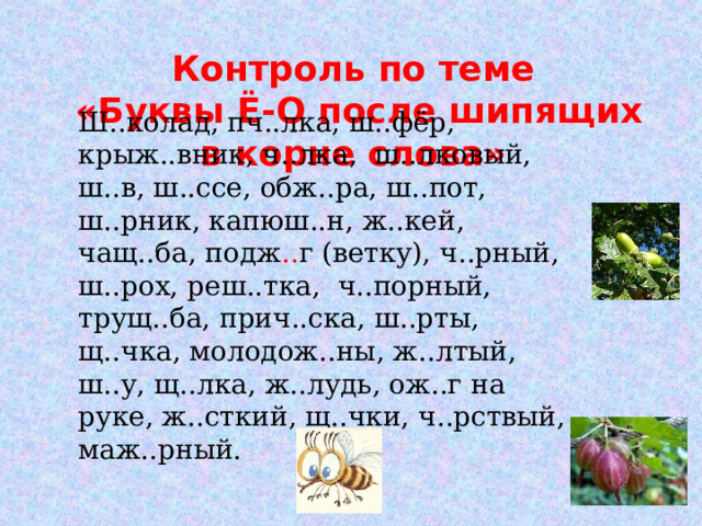  Контроль по теме  «Буквы Ё-О после шипящих в корне слова»     Ш..колад, пч..лка, ш..фёр, крыж..вник, ч..лка, ш..лковый, ш..в, ш..ссе, обж..ра, ш..пот, ш..рник, капюш..н, ж..кей, чащ..ба, подж .. г (ветку), ч..рный, ш..рох, реш..тка, ч..порный, трущ..ба, прич..ска, ш..рты, щ..чка, молодож..ны, ж..лтый, ш..у, щ..лка, ж..лудь, ож..г на руке, ж..сткий, щ..чки, ч..рствый, маж..рный. 