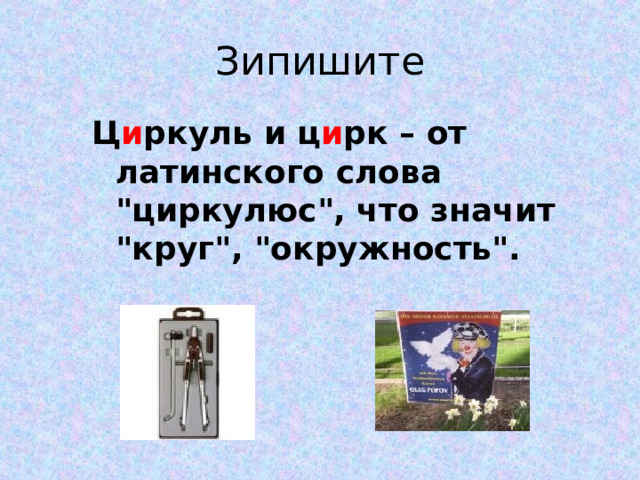 Зипишите Ц и ркуль и ц и рк – от латинского слова 