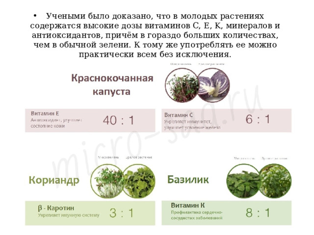 Учеными было доказано, что в молодых растениях содержатся высокие дозы витаминов C, E, K, минералов и антиоксидантов, причём в гораздо больших количествах, чем в обычной зелени. К тому же употреблять ее можно практически всем без исключения. 