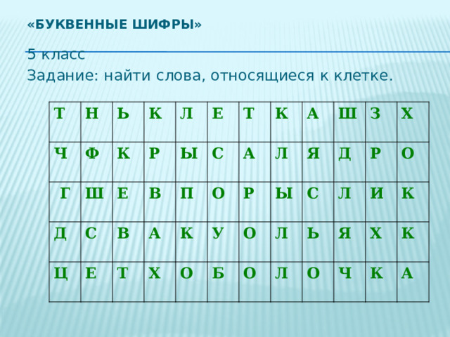 Шифр 5.07