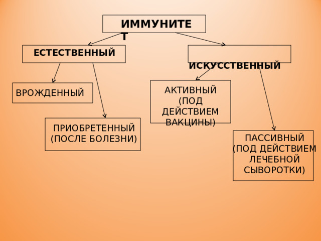 ИММУНИТЕТ ЕСТЕСТВЕННЫЙ  ИСКУССТВЕННЫЙ АКТИВНЫЙ (ПОД ДЕЙСТВИЕМ ВАКЦИНЫ) ВРОЖДЕННЫЙ ПРИОБРЕТЕННЫЙ (ПОСЛЕ БОЛЕЗНИ) ПАССИВНЫЙ (ПОД ДЕЙСТВИЕМ ЛЕЧЕБНОЙ СЫВОРОТКИ) 