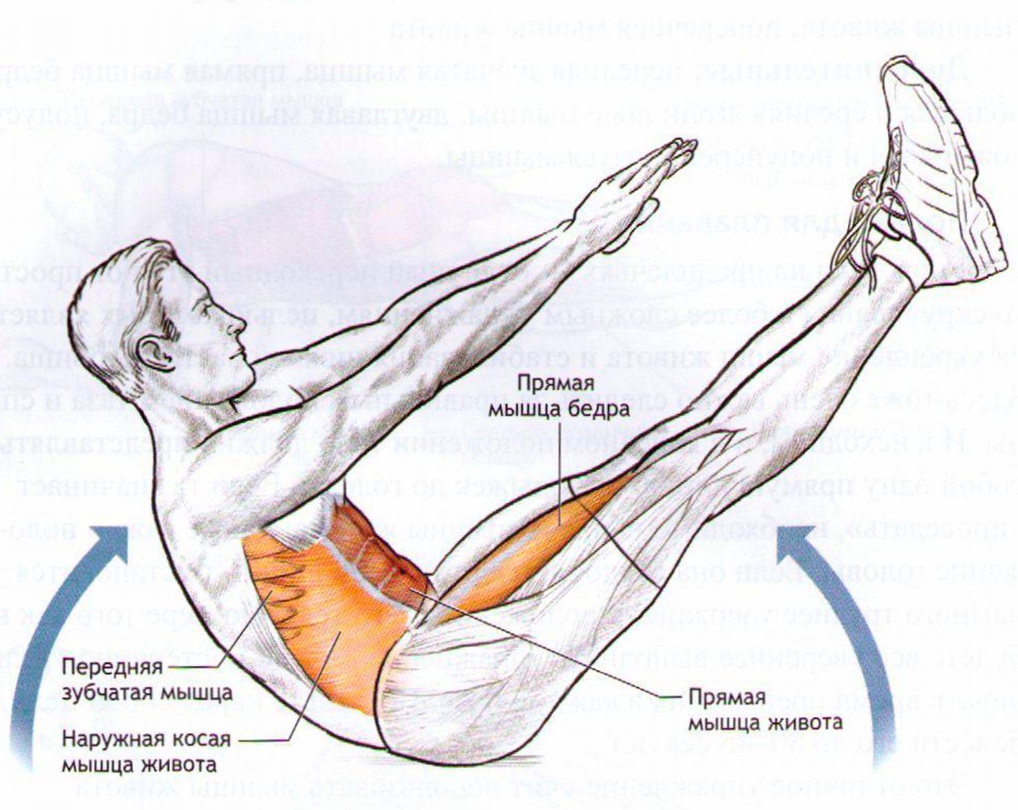 Упражнения на пресс мышцы