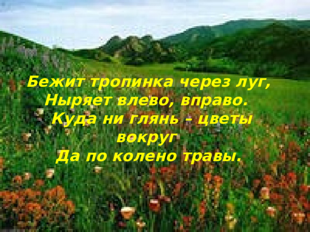 Бежит тропинка через луг, Ныряет влево, вправо. Куда ни глянь – цветы вокруг Да по колено травы. 