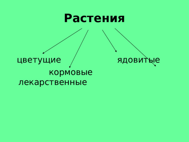 Растения  цветущие ядовитые  кормовые лекарственные 