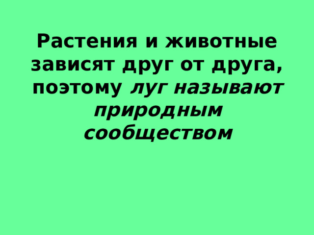Растения и животные зависят друг от друга, поэтому луг называют природным сообществом 