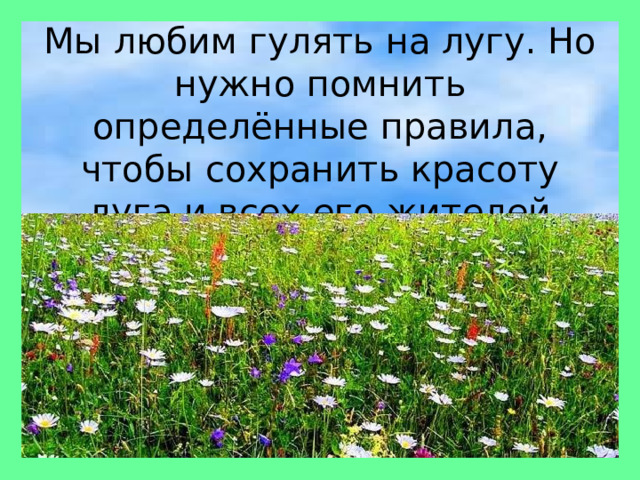 Мы любим гулять на лугу. Но нужно помнить определённые правила, чтобы сохранить красоту луга и всех его жителей Мы любим гулять на лугу. Но нужно помнить определённые правила, чтобы сохранить красоту луга и всех его жителей 
