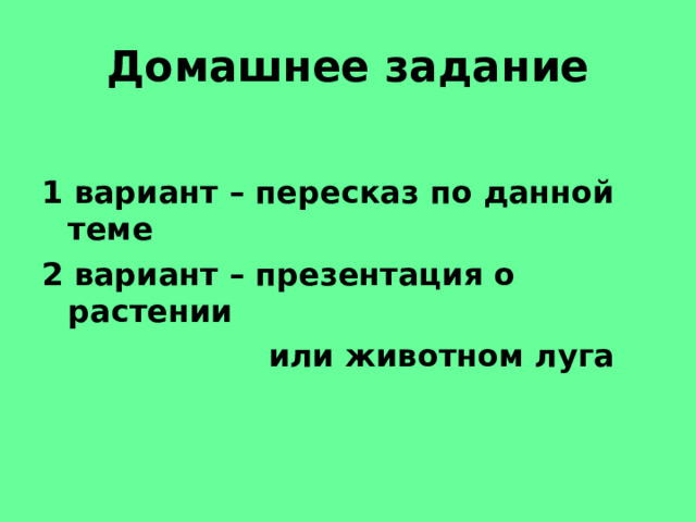 Домашнее задание 1 вариант – пересказ по данной теме 2 вариант – презентация о растении  или животном луга 