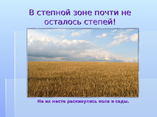 Презентация зона степей