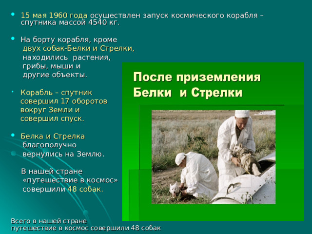 15 мая 1960 года осуществлен запуск космического корабля –спутника массой 4540 кг.   На борту корабля, кроме  двух собак-Белки и Стрелки,   находились растения,  грибы, мыши и  другие объекты. Корабль – спутник  совершил 17 оборотов  вокруг Земли и  совершил спуск. Белка и Стрелка   благополучно  вернулись на Землю.  В нашей стране  «путешествие в космос»  совершили 48 собак. Всего в нашей стране путешествие в космос совершили 48 собак . 