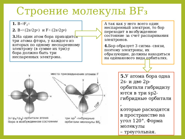 Строение молекулы ВF 3 1.  B +3 F 3 -1 А так как у него всего один неспаренный электрон, то бор переходит в возбужденное состояние за счет распаривания электронов. 2.  B +3 (2s 2 2p 1 )  и F -1 (2s 2 2p 5 ) 4. Бор образует 3 сигма- связи, поэтому электроны, их образующие, должны находиться на одинакового вида орбиталях. 3. На  один атом бора приходится три атома фтора, у каждого из которых по одному неспаренному электрону (в сумме их три):у бора должно быть три неспаренных электрона. 5. У атома бора одна 2s- и две 2p-орбитали гибридизуются в три sp2-гибридные орбитали, которые расходятся в пространстве на угол 120°. Форма молекулы – треугольная. 