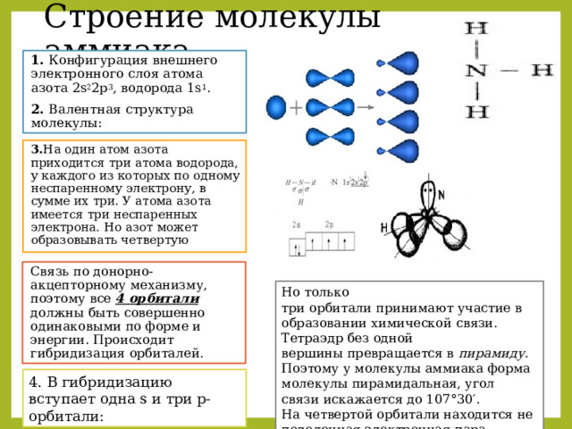 Строение молекулы аммиака 1. Конфигурация внешнего электронного слоя атома азота 2s 2 2р 3 , водорода 1s 1 . 2. Валентная структура молекулы: 3. На один атом азота приходится три атома водорода, у каждого из которых по одному неспаренному электрону, в сумме их три. У атома азота имеется три неспаренных электрона. Но азот может образовывать четвертую Связь по донорно- акцепторному механизму, поэтому все 4 орбитали должны быть совершенно одинаковыми по форме и энергии. Происходит гибридизация орбиталей. Но только три орбитали принимают участие в образовании химической связи. Тетраэдр без одной вершины превращается в  пирамиду . Поэтому у молекулы аммиака форма молекулы пирамидальная, угол связи искажается до 107°30′.  На четвертой орбитали находится неподеленная электронная пара.  4. В гибридизацию вступает одна s и три р-орбитали:​ 