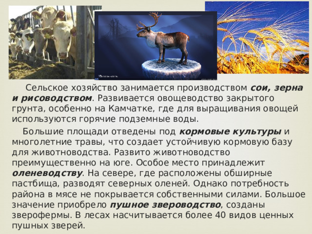  Сельское хозяйство занимается производством сои, зерна и рисоводством . Развивается овощеводство закрытого грунта, особенно на Камчатке, где для выращивания овощей используются горячие подземные воды.  Большие площади отведены под кормовые культуры и многолетние травы, что создает устойчивую кормовую базу для животноводства. Развито животноводство преимущественно на юге. Особое место принадлежит оленеводству . На севере, где расположены обширные пастбища, разводят северных оленей. Однако потребность района в мясе не покрывается собственными силами. Большое значение приобрело пушное звероводство , созданы зверофермы. В лесах насчитывается более 40 видов ценных пушных зверей. 