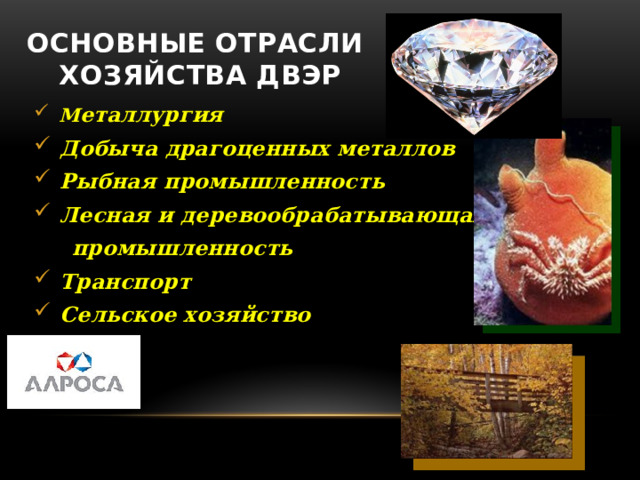 Основные отрасли  хозяйства ДВЭР  М еталлургия  Добыча драгоценных металлов  Рыбная промышленность  Лесная и деревообрабатывающая  промышленность  Транспорт  Сельское хозяйство 