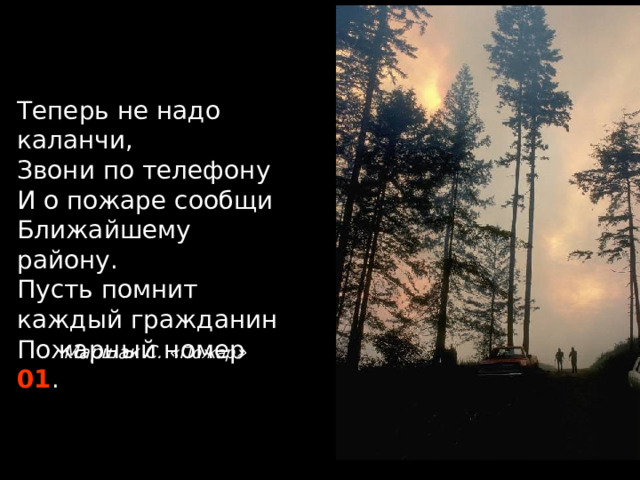 Теперь не надо каланчи, Звони по телефону И о пожаре сообщи Ближайшему району. Пусть помнит каждый гражданин Пожарный номер 01 . Маршак С. « Пожар »   