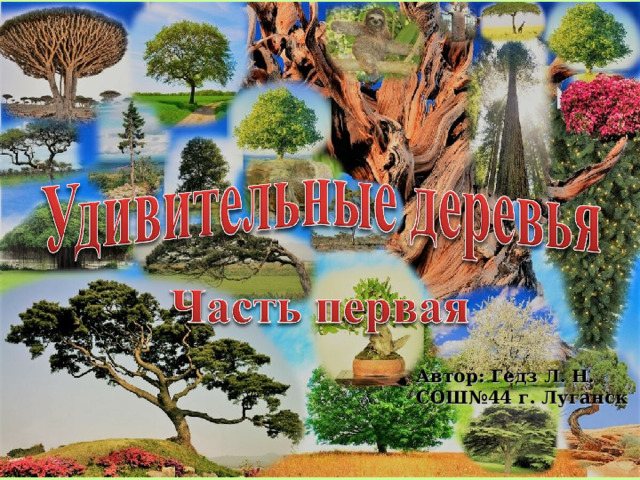 Автор: Гедз Л. Н. СОШ№44 г. Луганск  