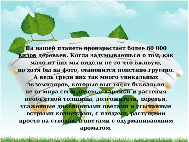 На нашей планете произрастает более 60 000 видов деревьев. Когда задумываешься о том, как мало из них мы видели не то что вживую, но хотя бы на фото, становится поистине грустно. А ведь среди них так много уникальных экземпляров, которые выглядят буквально не от мира сего: деревья-карлики и растения необъятной толщины, долгожители, деревья, усаженные диковинными цветами и усыпанные острыми колючками, с плодами, растущими просто на стволах, и цветами с одурманивающим ароматом. 