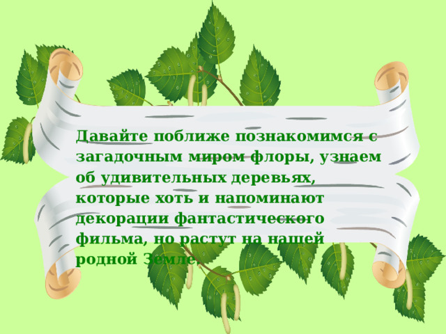 Давайте поближе познакомимся с загадочным миром флоры, узнаем об удивительных деревьях, которые хоть и напоминают декорации фантастического фильма, но растут на нашей родной Земле. 