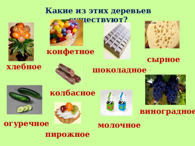 Какие из этих деревьев существуют? конфетное сырное хлебное шоколадное колбасное виноградное огуречное молочное пирожное 